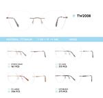 Titanium frames TW2008