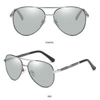 Photochromic glasses with blue light and UV protection 2802-GT