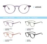 Plastic acetate eyeglasses frame with spring hinges WD1645