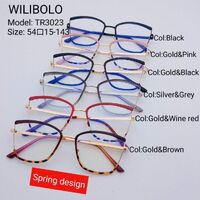 Оправа металл + TR90 ультратонкая женская с флексом Wilibolo TR3023