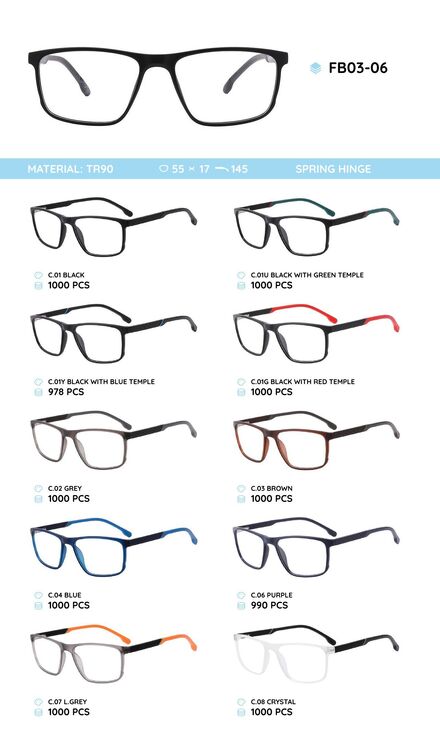 TR90 plastic eyeglasses frame FB03-06