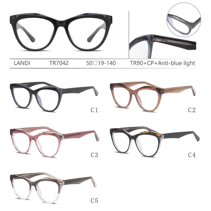 Protective plastic TR90+CP glasses with anti-blue light lenses with spring hinges Landi LD-TR7042
