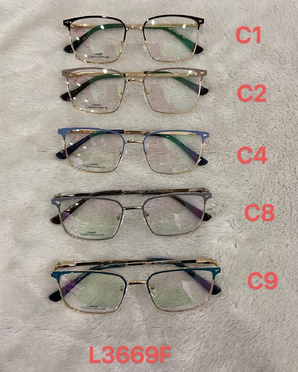 Оправа металлическая L3669F