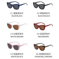 Оправа пластиковая с флексом + поляризационная солнцезащитная насадка (клипон) на магните El Dorado EL2349D