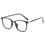 Plastic TR90 Blue Block glasses with blue light protection FENQI F01264