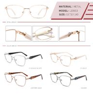 Оправа металлическая с флексом LE8853-DA