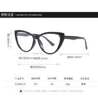 Plastic glasses with blue light protection for women 5605-PN