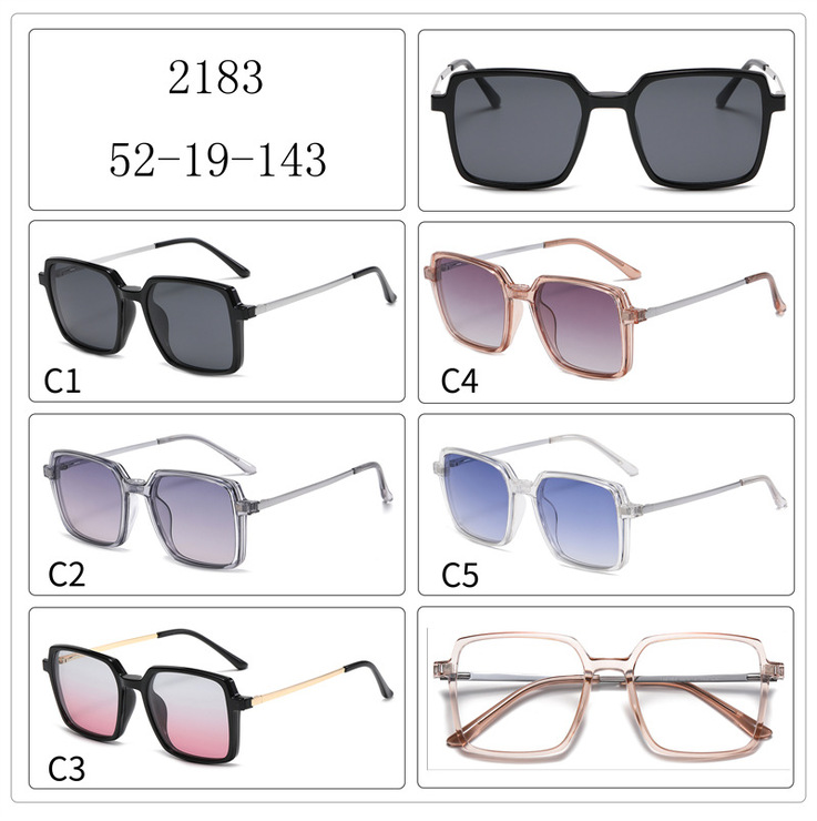 Hybrid frame, metal + TR90, with magnet sunshade clip-on SANTA 2183