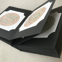 Набор из 38 тест-таблиц для диагностики дальтонизма