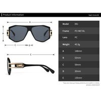 Plastic + metal retro sunglasses for men Elit LH091-1-EL