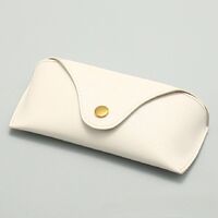 Sunglasses and eyeglasses hard shell case JQ006-1