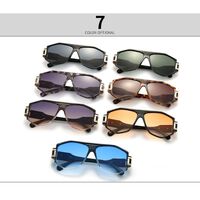Plastic + metal retro sunglasses for men Elit LH091-1-EL