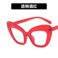 Plastic glasses with blue light protection for women 3001-7725-PN