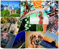 Cleaning MIX cloth for glasses with a print, microfiber material, individually wrapped , 17.5*14.5 cm