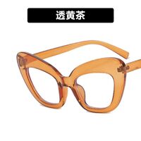 Plastic glasses with blue light protection for women 3001-7725-PN