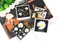 Kit for soft contact lenses (Kits for contact lenses) FX1022Daisy