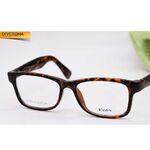 Catalog: plastic frames for glasses Vizzini 2020-1