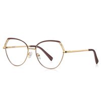 Metal Blue Blocker frames for glasses MORE FCS3109