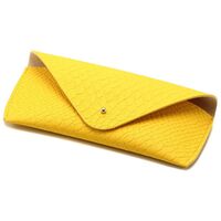 Sunglasses and eyeglasses hard shell case HD2022-1