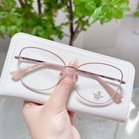 Combined frame (metal + TR90) with Blue Ray Cut protection lenses MAMO F93092