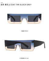 Sunglasses Elit in retro style 2104