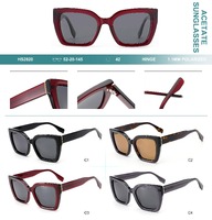 Polarized acetate plastic sunglasses Big City HS2820